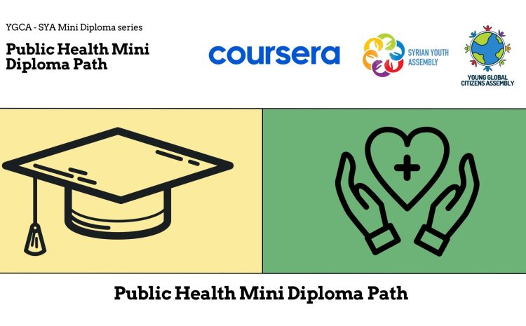  Public Health Mini Diploma Path