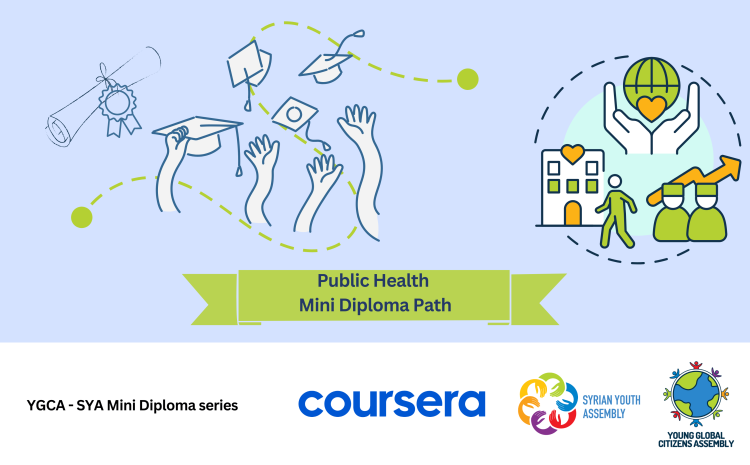  Public Health Mini Diploma Path